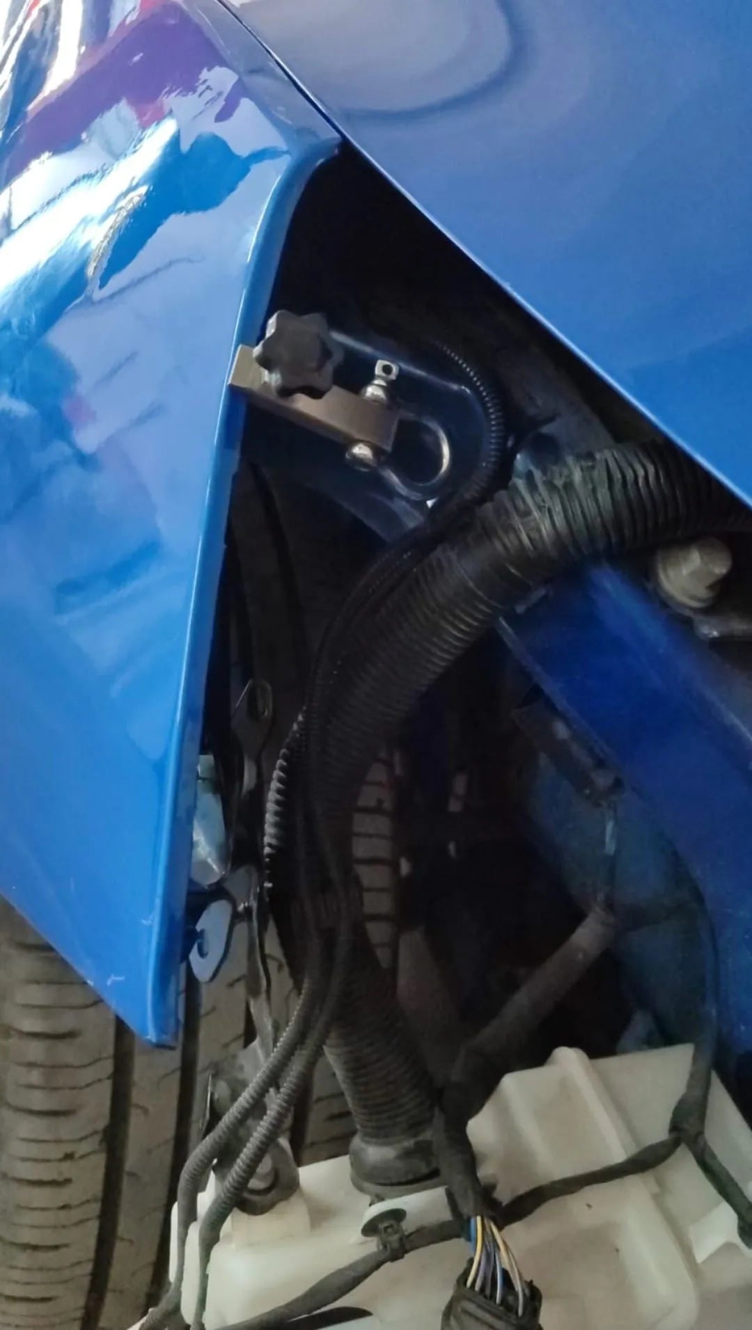 PDR INOX Stainless Steel Mini Wolf-Mouth Clamp